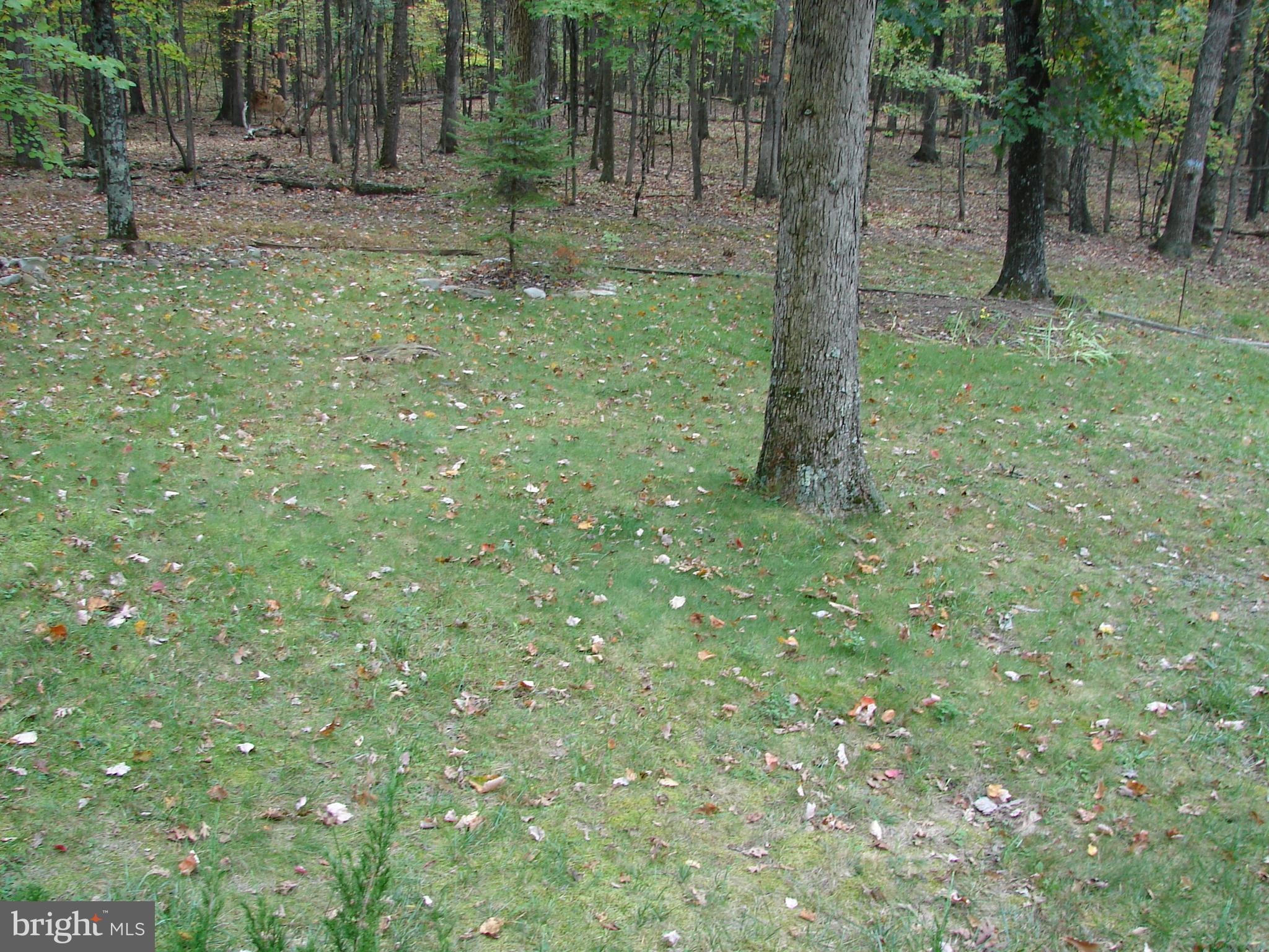 1375 Audubon Road Hedgesville, WV 25427 - Photo 31 of 50 Gallery Image 31