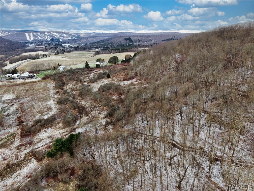 6096 Nys Route Ellicottville, NY 14731 - Photo 2 of 5