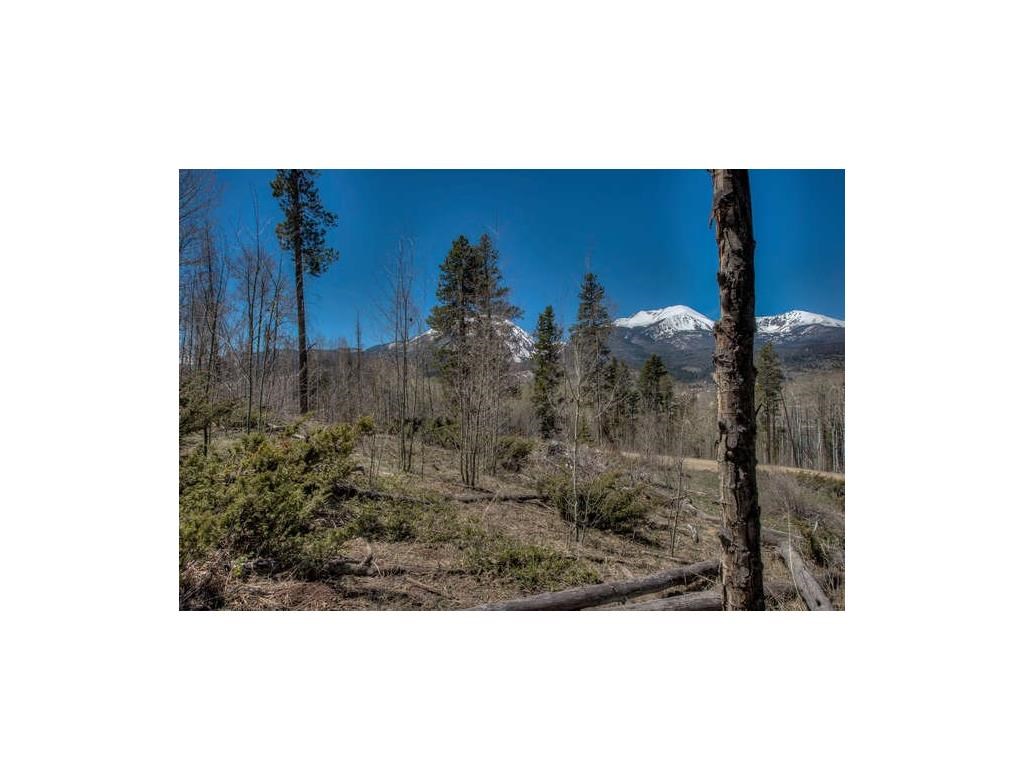 187 Angler Mountain Ranch Road Silverthorne, CO 80498 - Photo 10 of 18 Gallery Image 10
