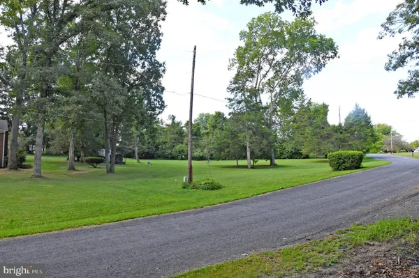 a view of a park with large trees