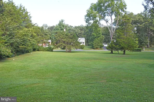 a view of a trees with a big yard