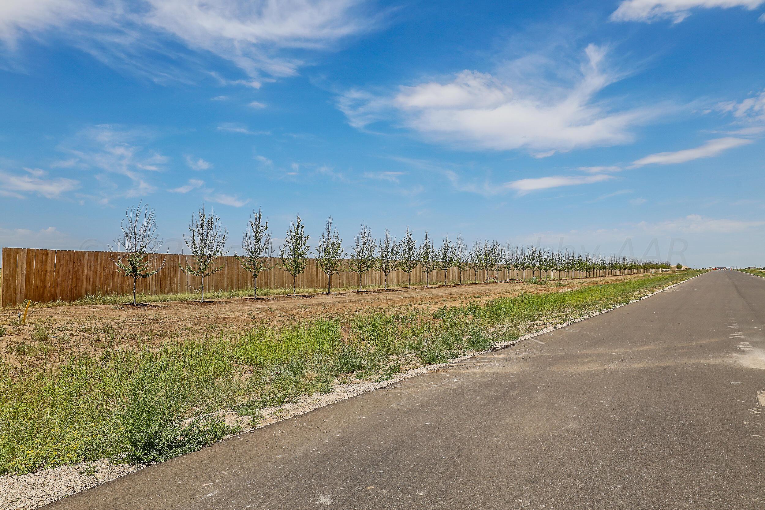 16051 Del Rey Drive Amarillo, TX 79119 - Photo 4 of 4 Tierra Santa3