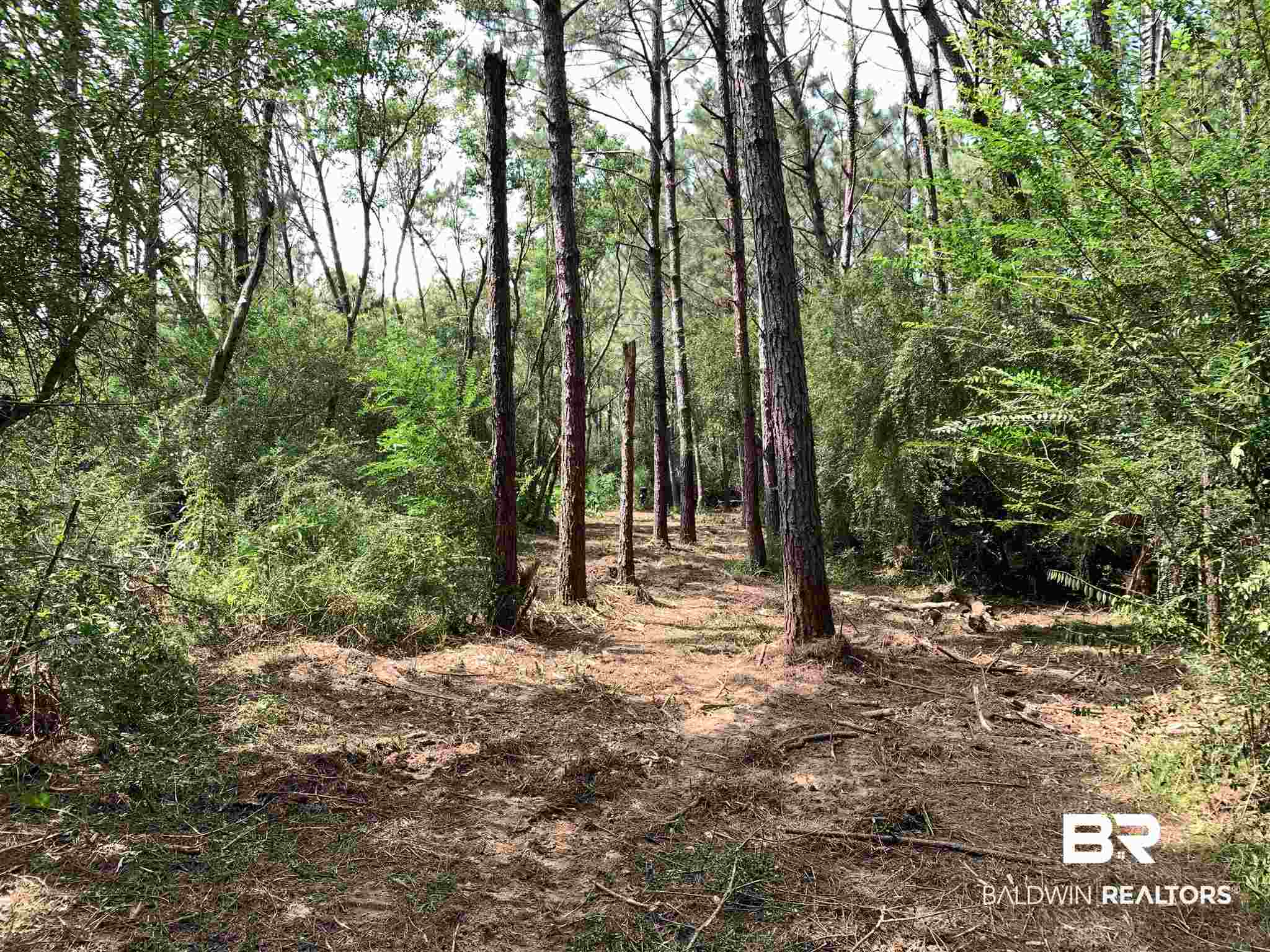 0 Mateja Road Robertsdale, AL 36567 - Photo 15 of 18 Trail