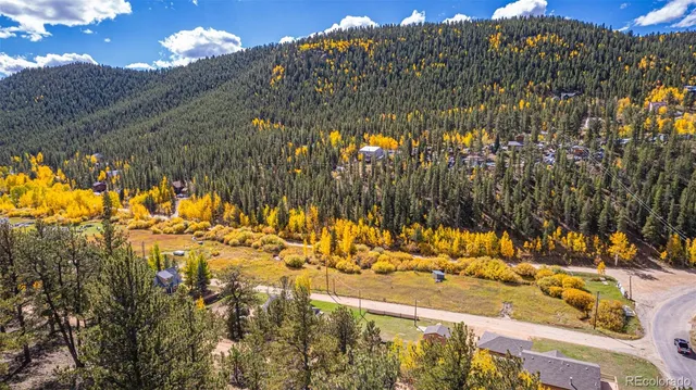 a view of a yard with a tree
