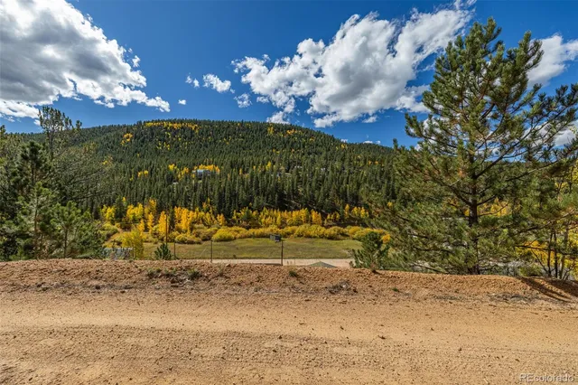 a view of a yard with a tree