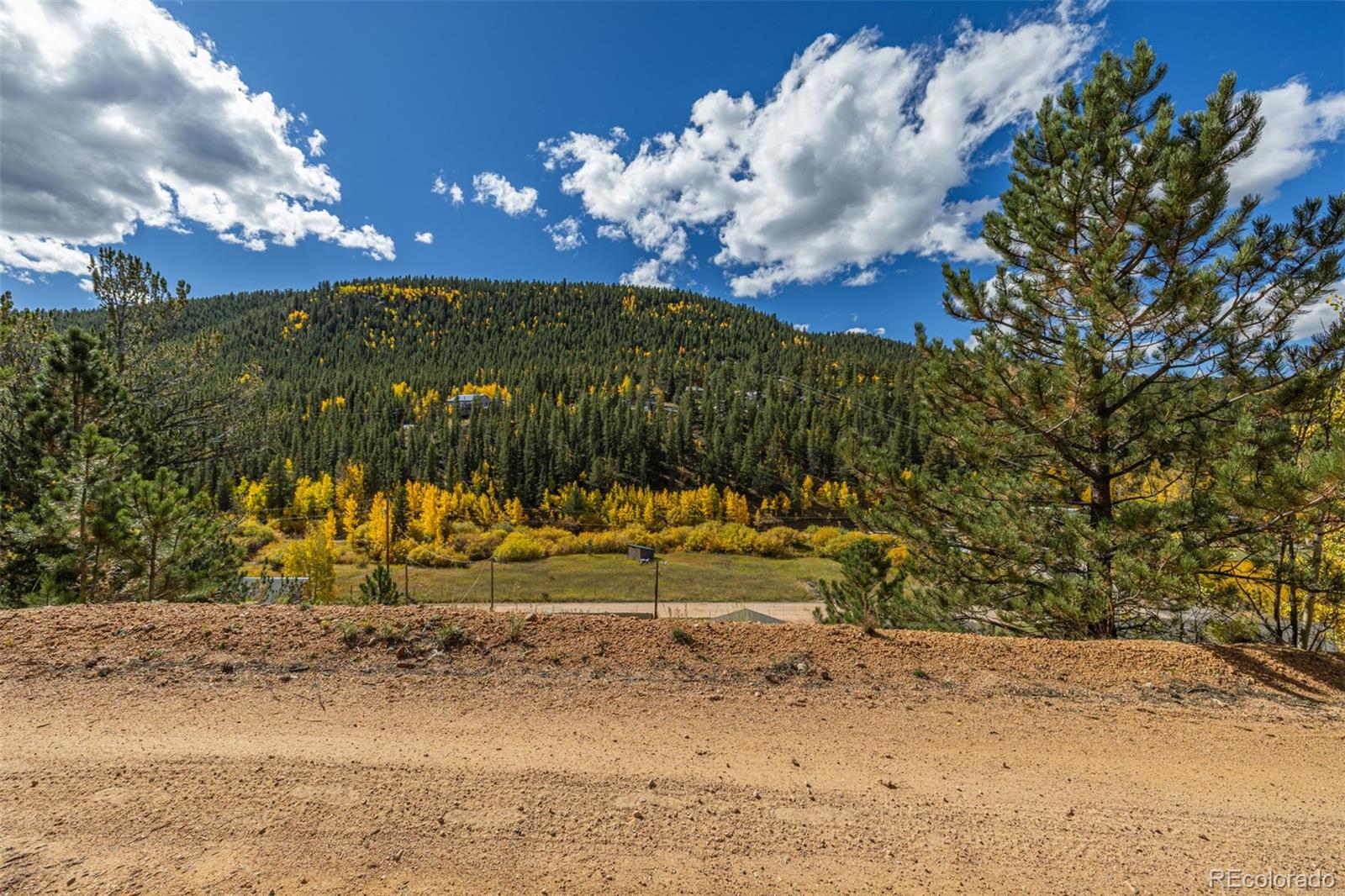 103 Gross Road Bailey, CO 80421 - Photo 13 of 21 a view of a yard