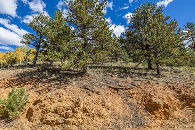 a view of a yard with trees