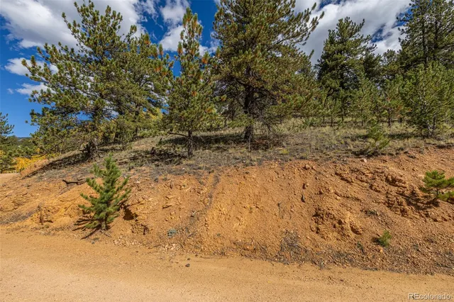 a view of a yard with a tree