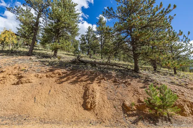 a view of a yard with a tree