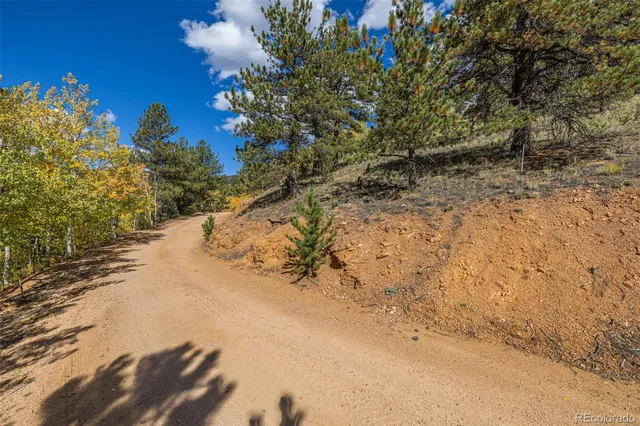 a view of a dry yard with trees