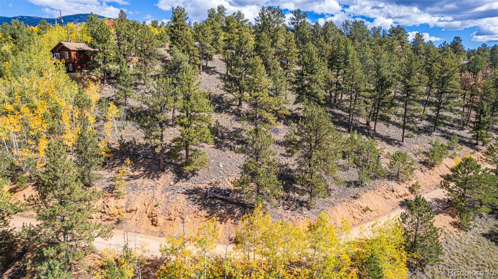 103 Gross Road Bailey, CO 80421 - Photo 8 of 21 a view of a forest with a tree
