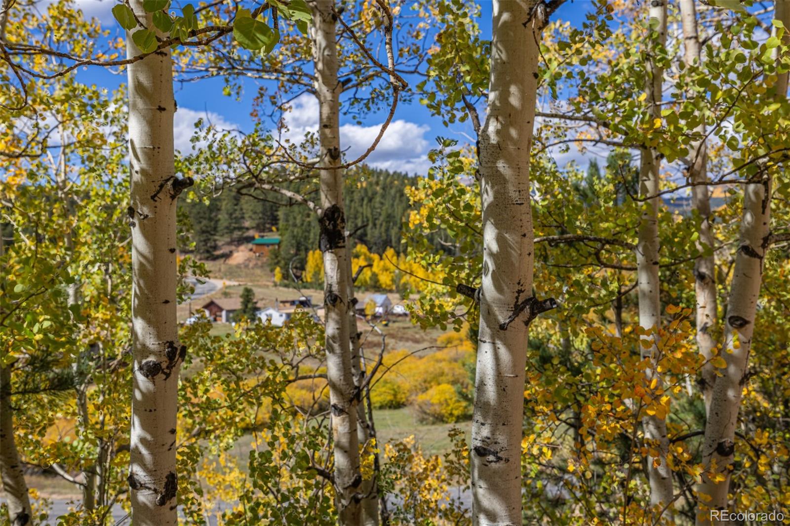 103 Gross Road Bailey, CO 80421 - Photo 9 of 21