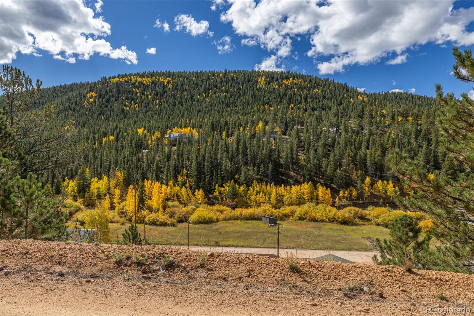 103 Gross Road Bailey, CO 80421 - Photo 10 of 21
