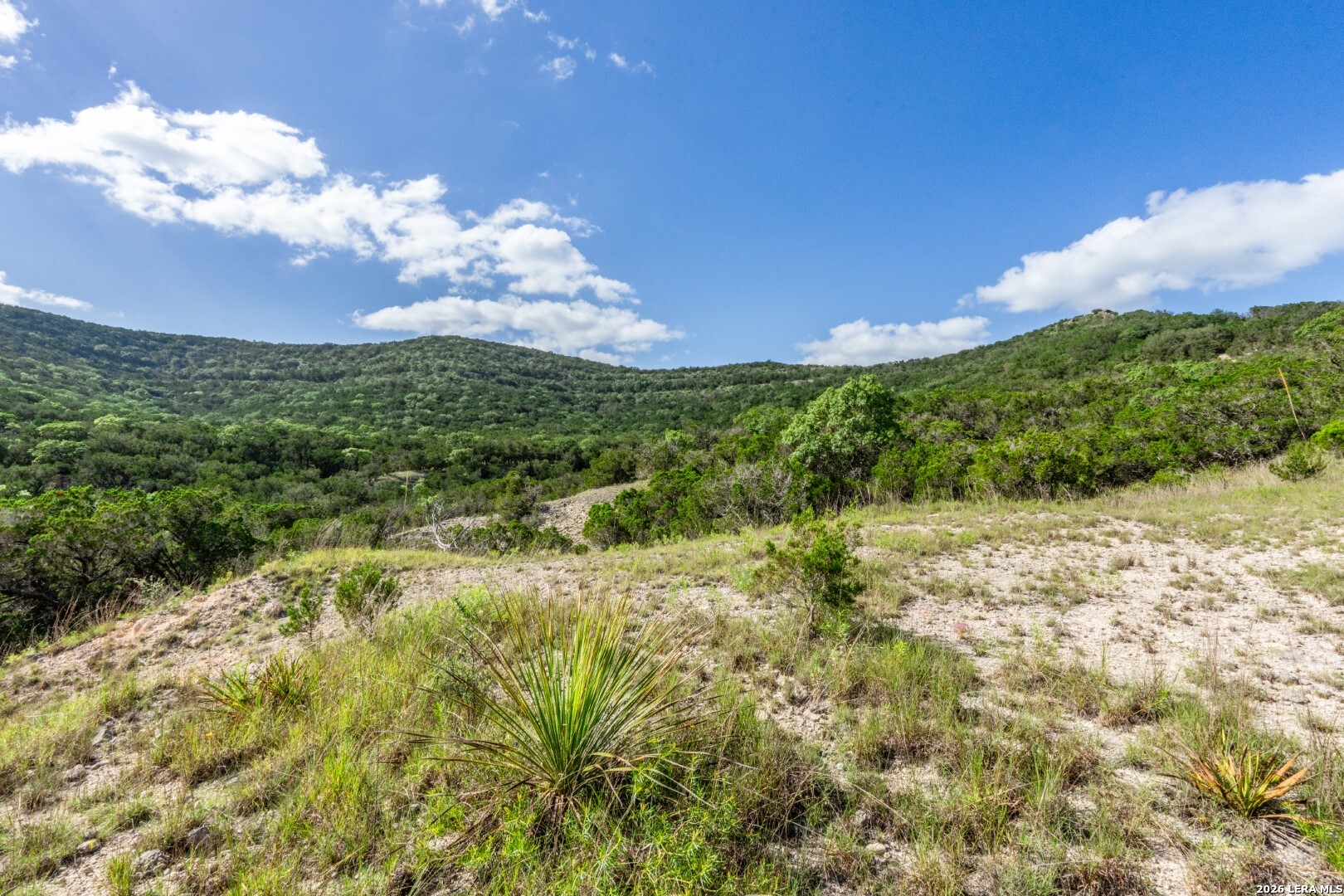 650 Evans Creek Road Vanderpool, TX 78885 - Photo 11 of 28