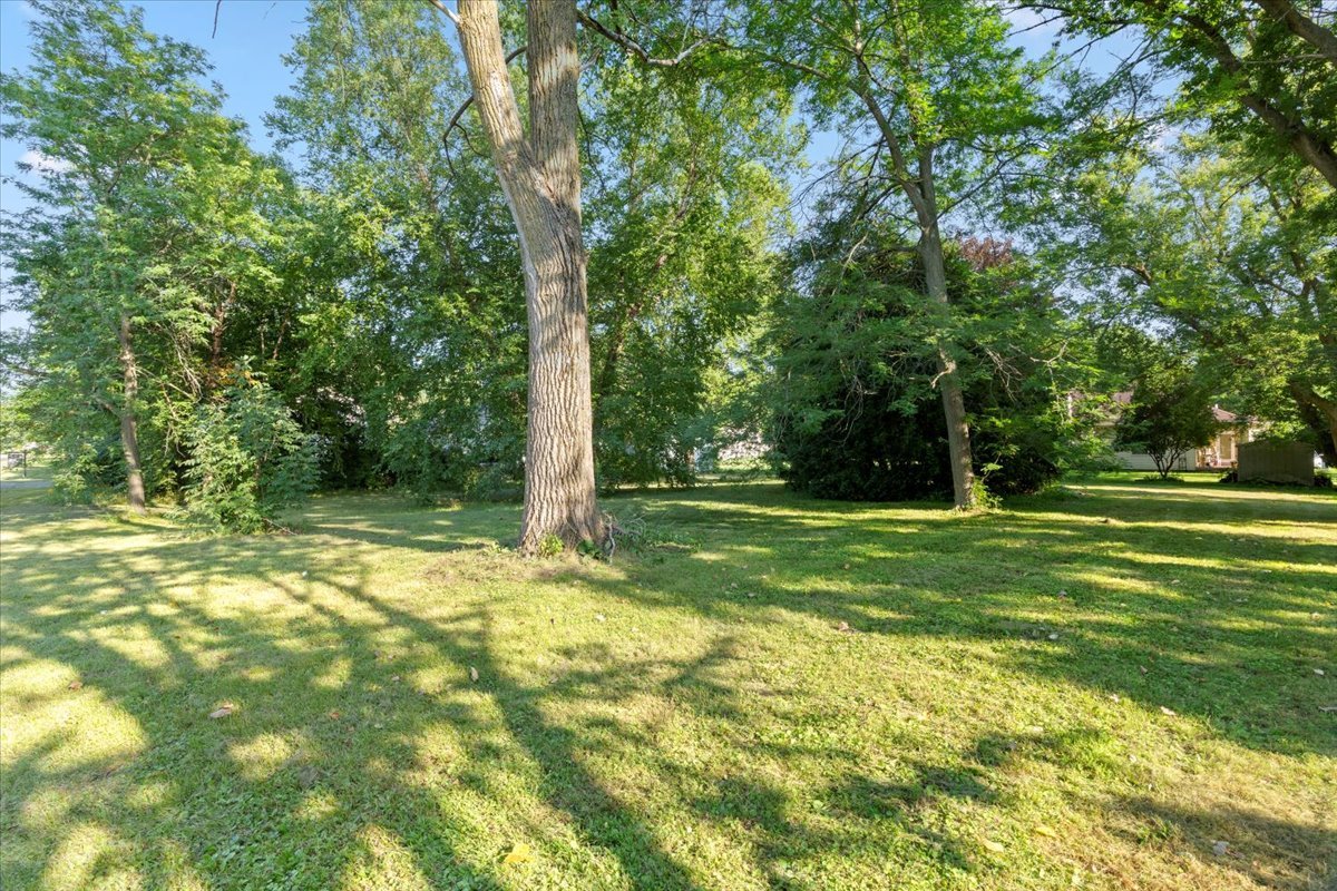 3507 Atlantic Avenue Gurnee, IL 60031 - Photo 33 of 33 a view of a tree in a yard