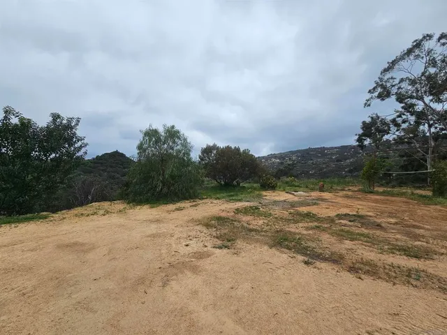 a view of dirt field and trees around