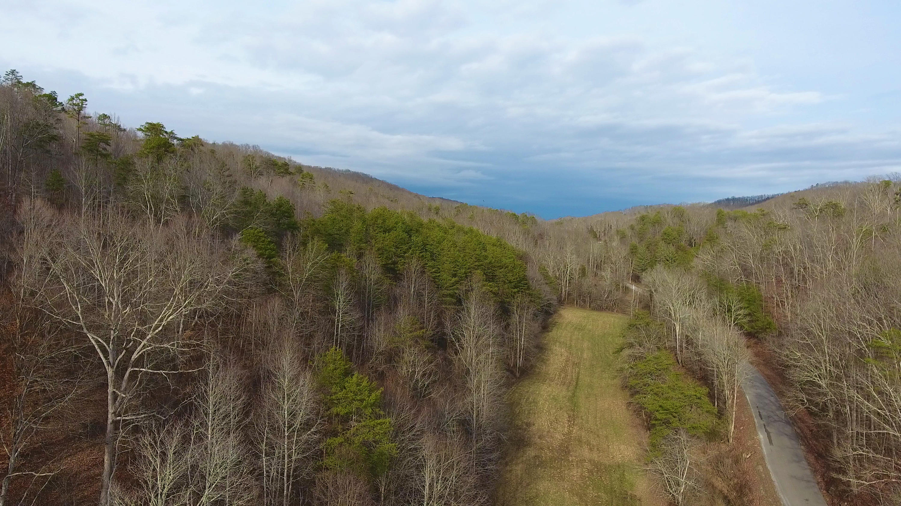 562 Pumpkin Hollow Road Heiskell, TN 37754 - Photo 3 of 34 Level to Rolling