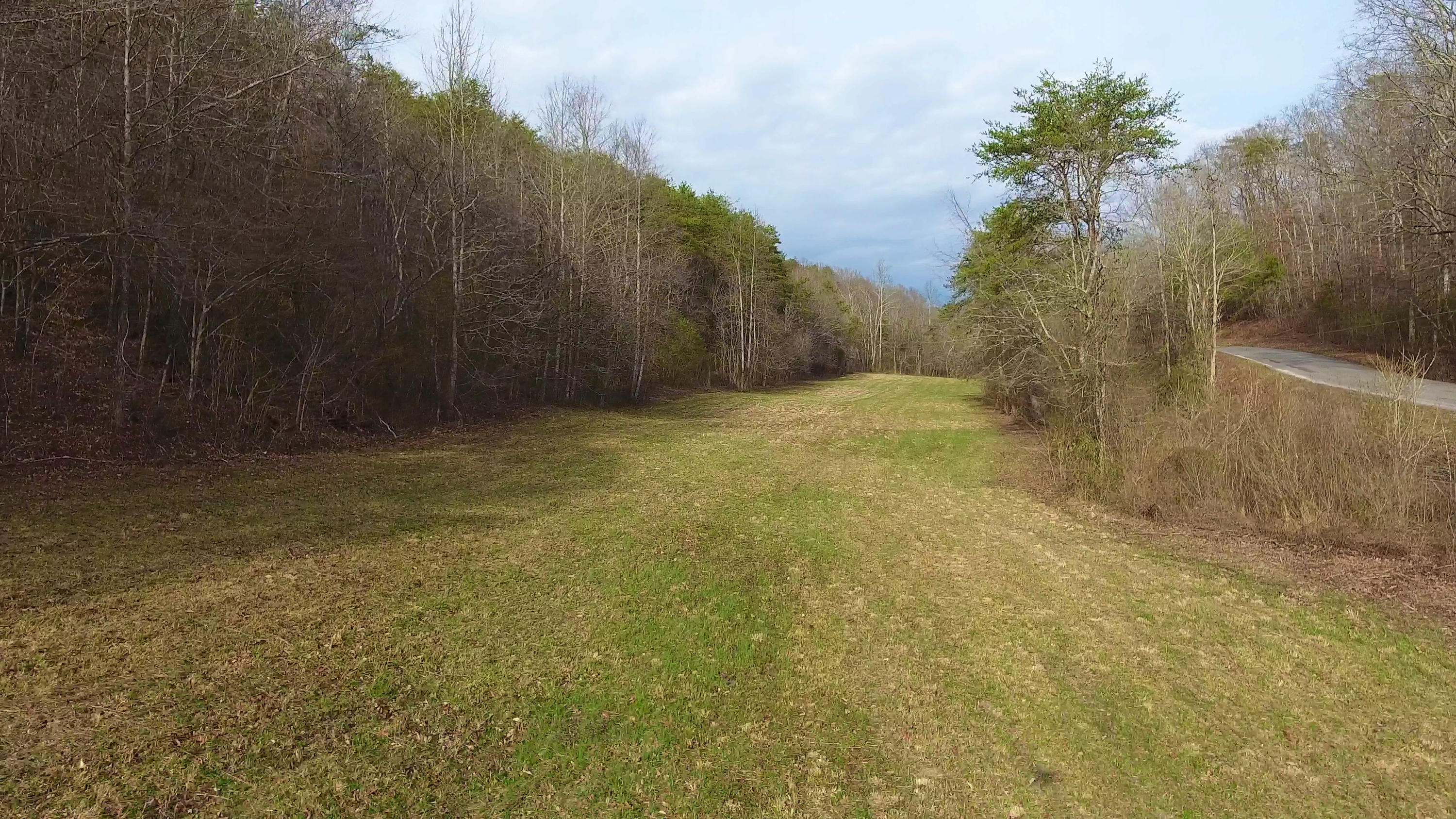 562 Pumpkin Hollow Road Heiskell, TN 37754 - Photo 4 of 34 Pasture