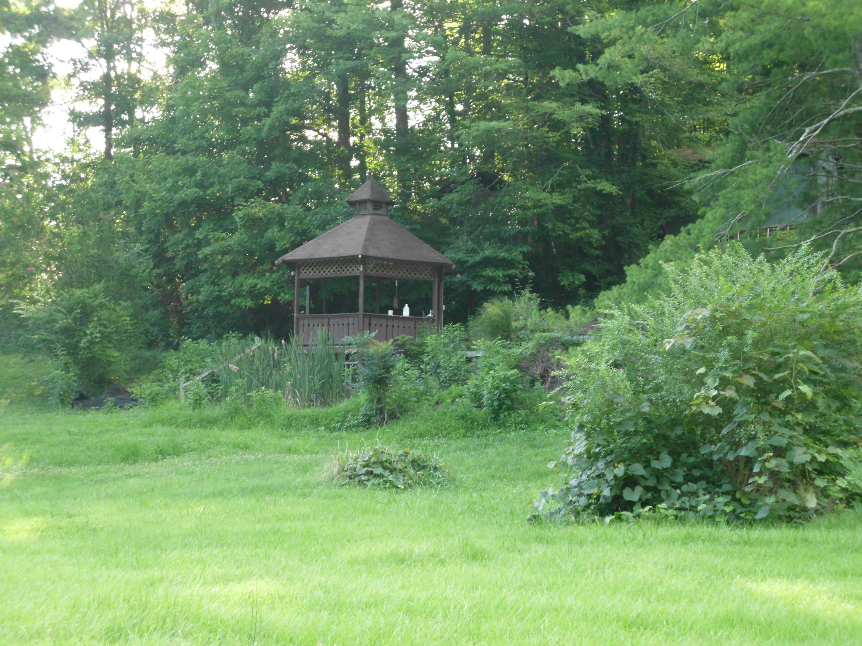 562 Pumpkin Hollow Road Heiskell, TN 37754 - Photo 34 of 34 SANY1286