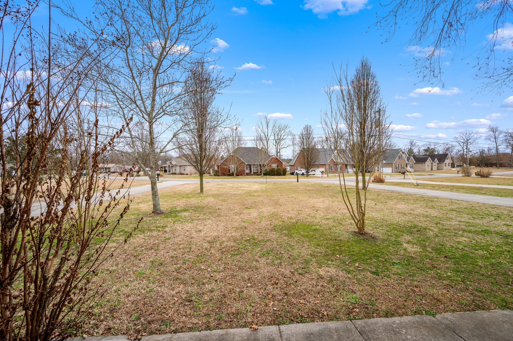 201 Oak Hollow Road Manchester, TN 37355 - Photo 10 of 43 a view of a yard with a tree