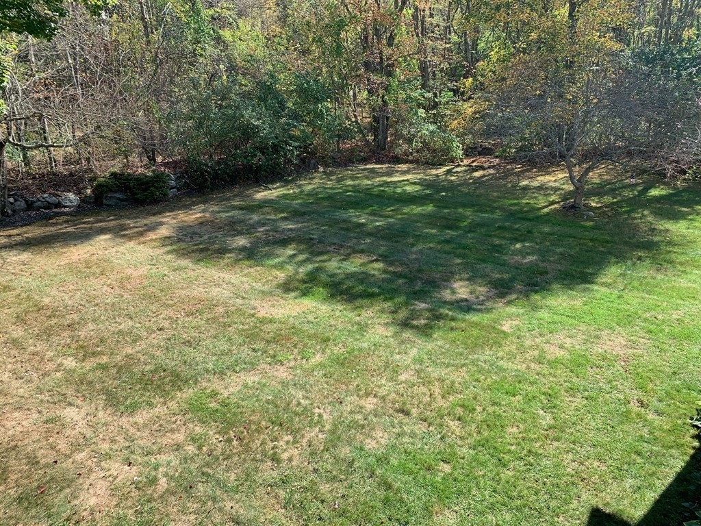 81 Locust Street Bellingham, MA 02019 - Photo 18 of 18 Gallery Image 18