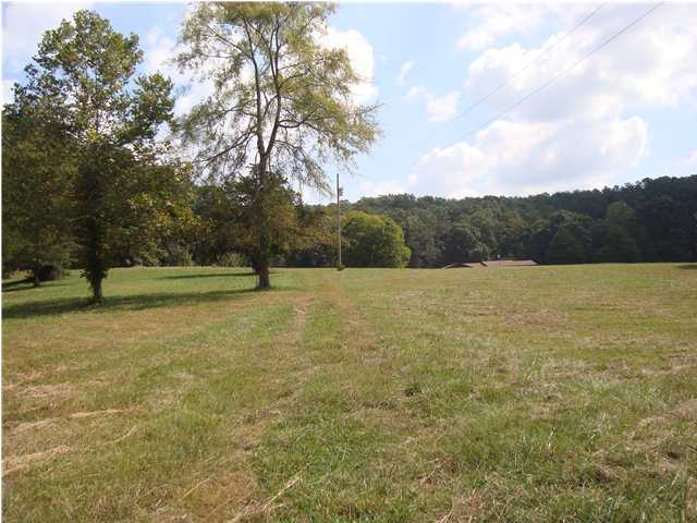 945 Banther Road Southwest McDonald, TN 37353 - Photo 34 of 34 Additional Photo