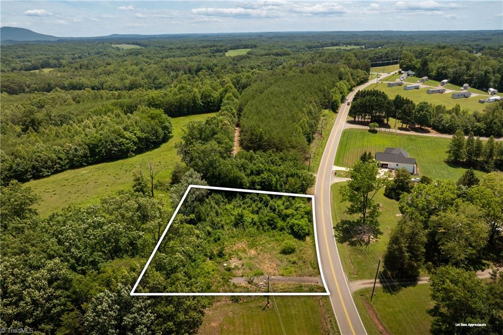 309 Ararat Longhill Road Pilot Mountain, NC 27041 - Photo 3 of 34