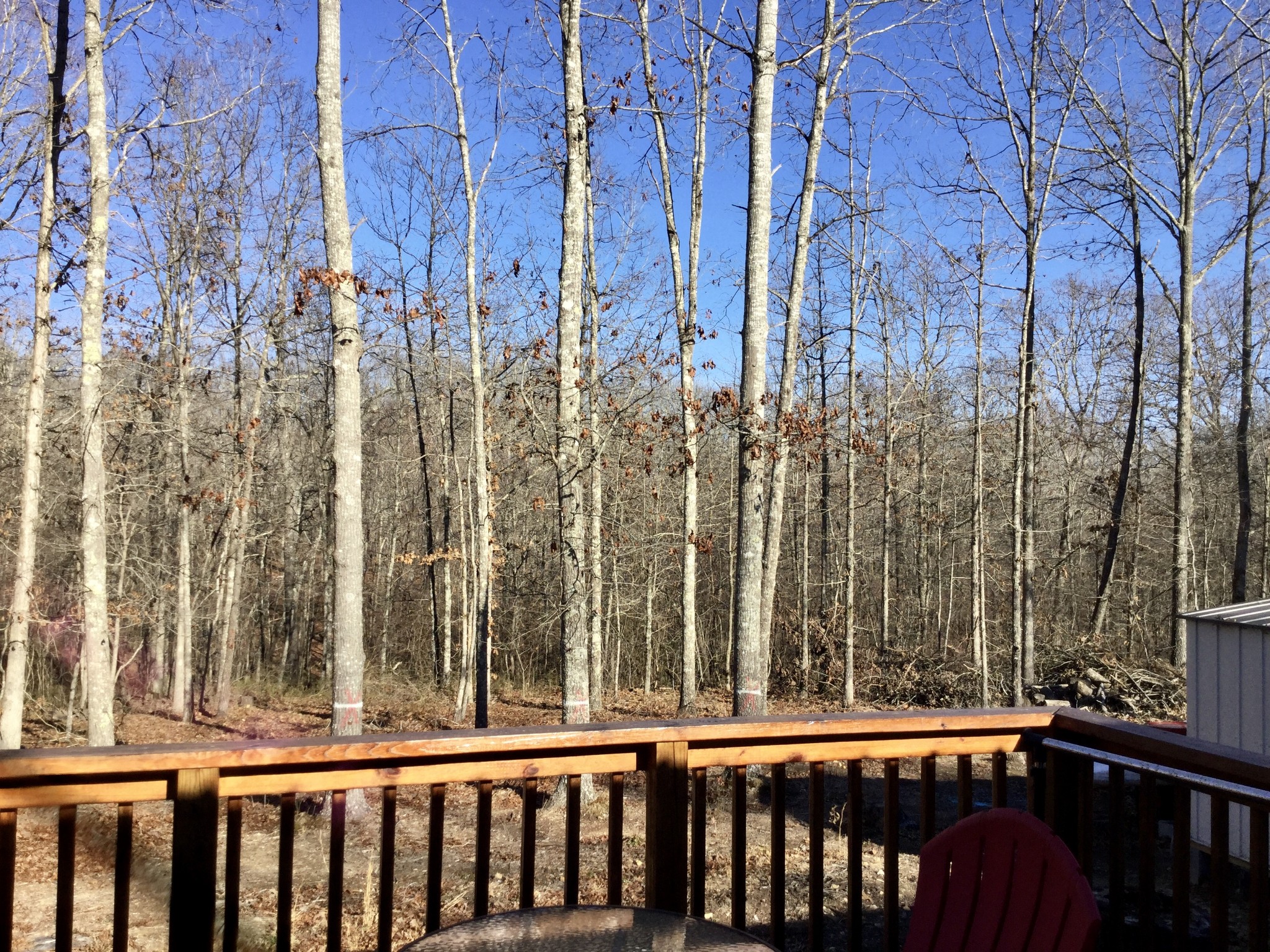 148 Deer Run Road Summertown, TN 38483 - Photo 29 of 39 Gallery Image 29