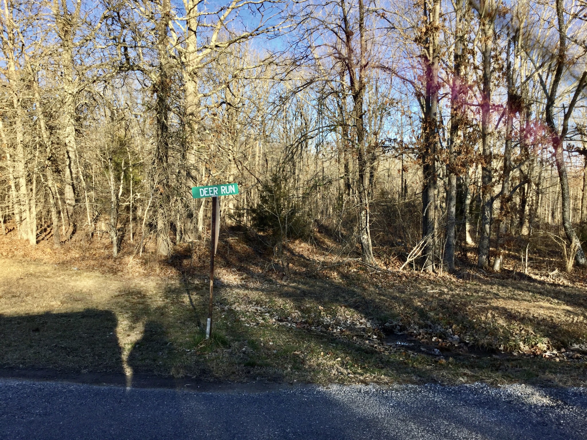 148 Deer Run Road Summertown, TN 38483 - Photo 36 of 39 Gallery Image 36