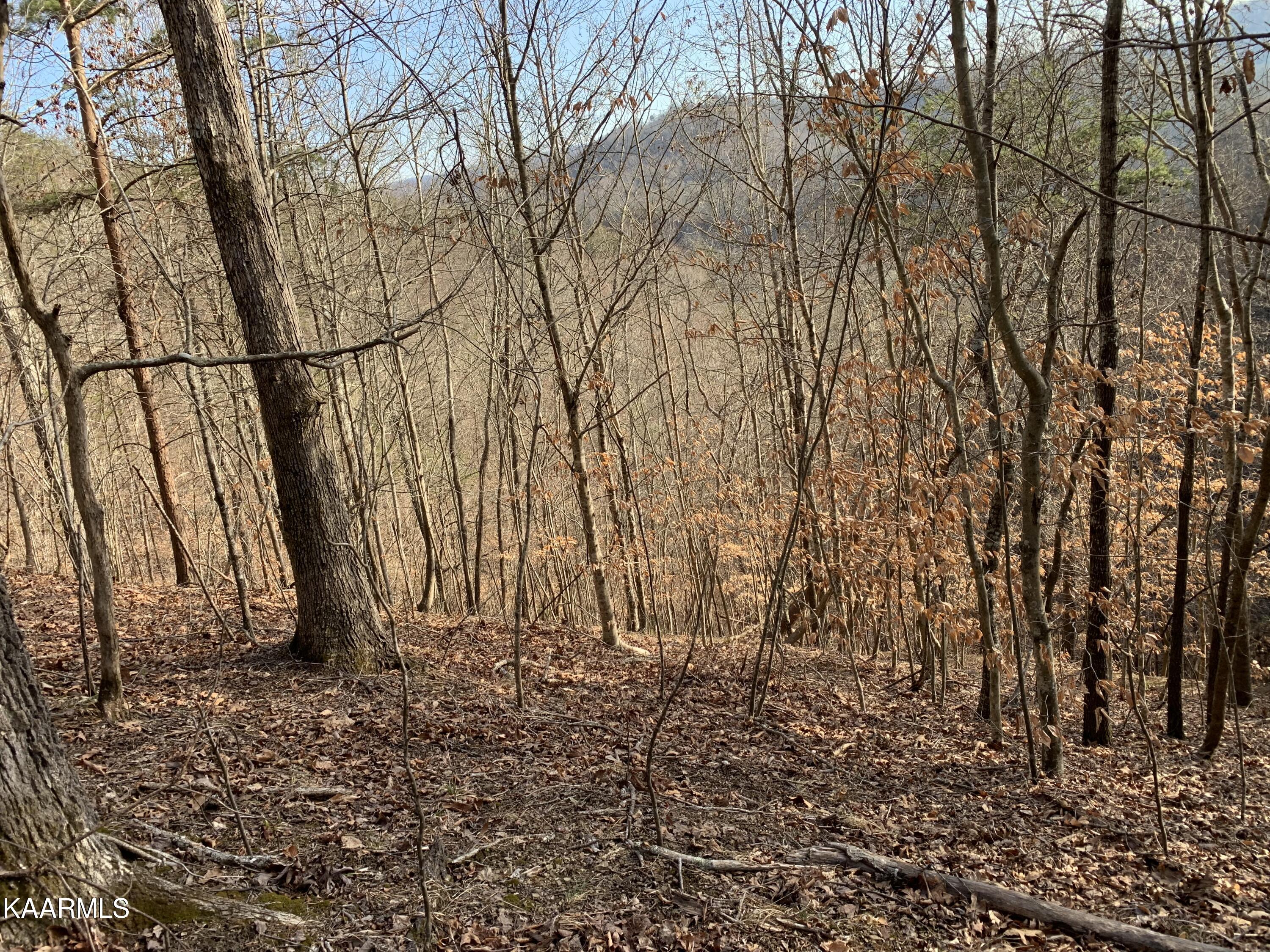 Lot 65 Ridgecrest Road New Tazewell, TN 37825 - Photo 1 of 41 Main Photo