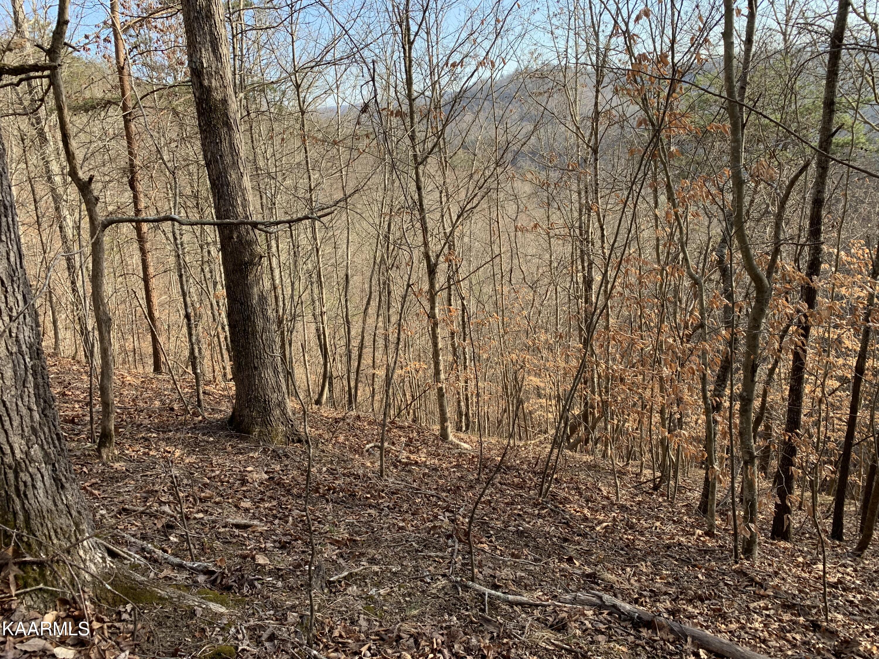 Lot 65 Ridgecrest Road New Tazewell, TN 37825 - Photo 2 of 41 Photo 2