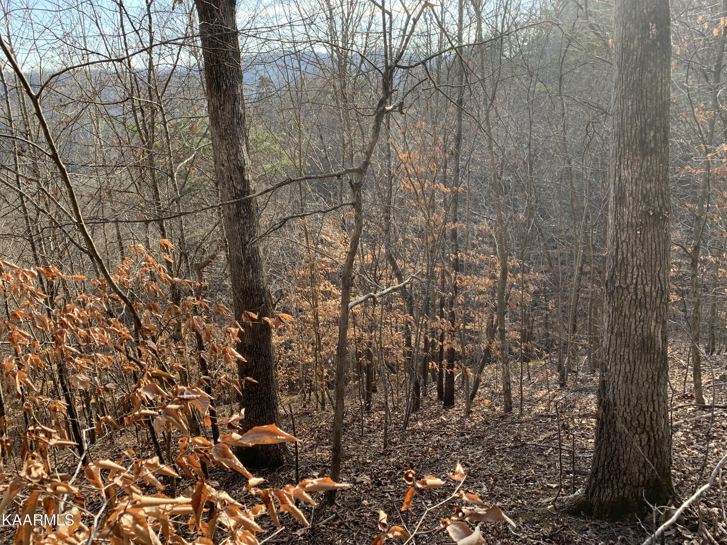 Lot 65 Ridgecrest Road New Tazewell, TN 37825 - Photo 5 of 41 Photo 5