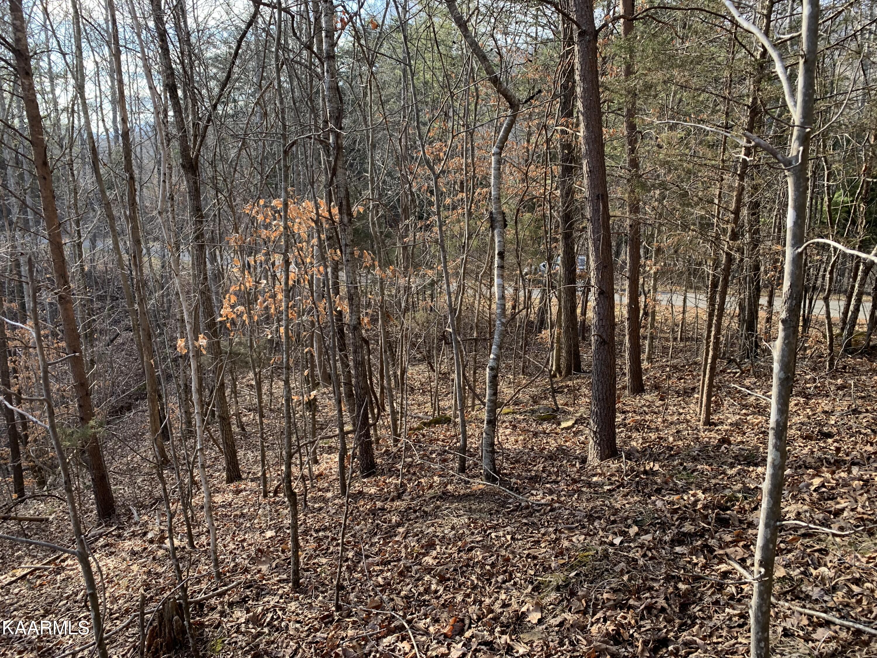 Lot 65 Ridgecrest Road New Tazewell, TN 37825 - Photo 6 of 41 Photo 6