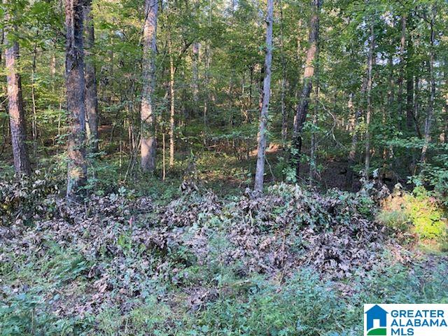 0 Holliday Drive, Unit 15 Oneonta, AL 35121 - Photo 1 of 1