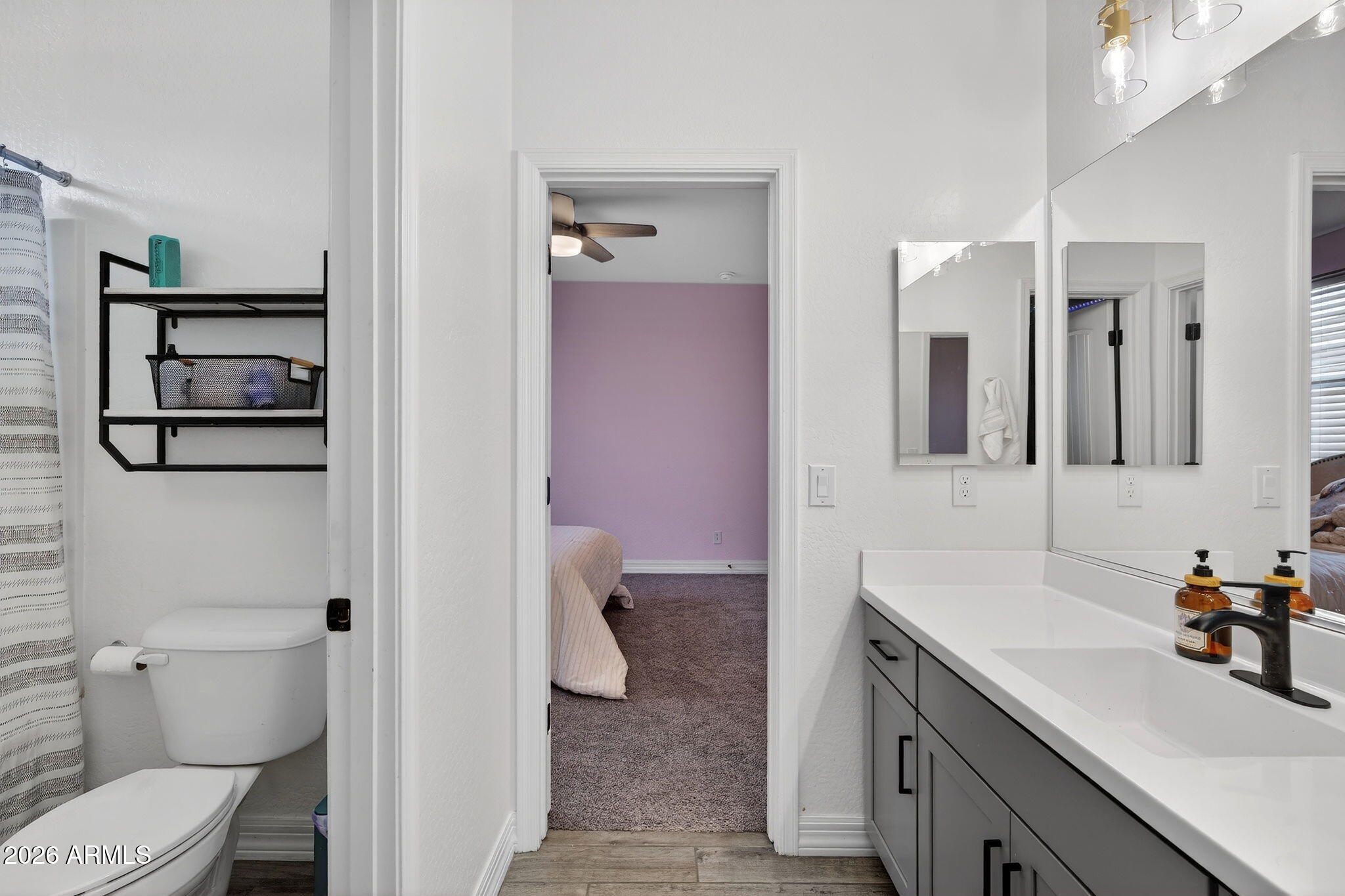 1663 West Gordon Street San Tan Valley, AZ 85144 - Photo 32 of 54 a bathroom with a sink a toilet and shower