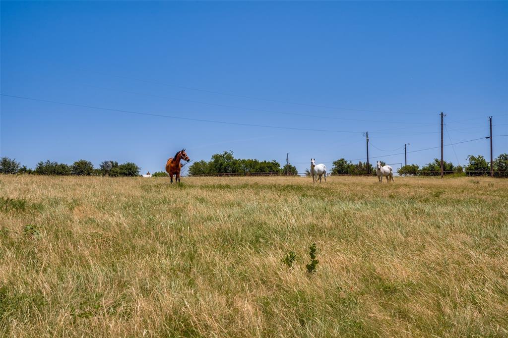 243 ROCK Court Decatur, TX 76234 - Photo 24 of 25