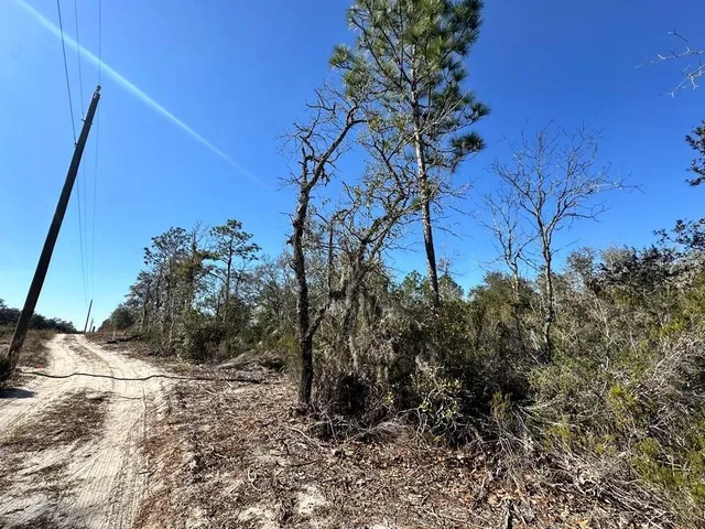 $6,900 | Northeast 63rd Place, Williston, FL 32696