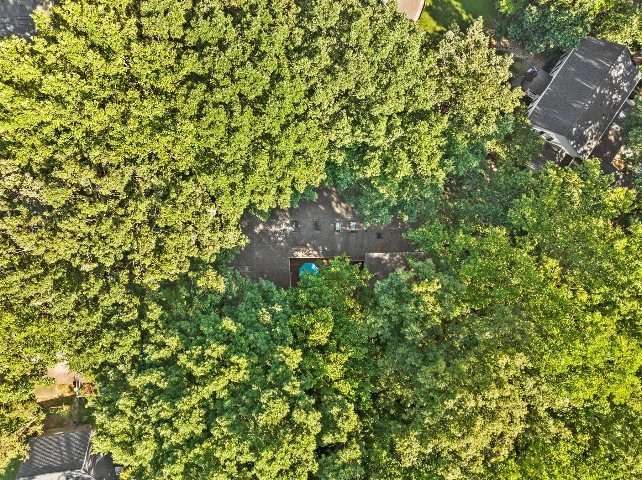 4505 Eliot Place Raleigh, NC 27609 - Photo 50 of 51 Another aerial view of the beautifully wooded lot. Aerial View