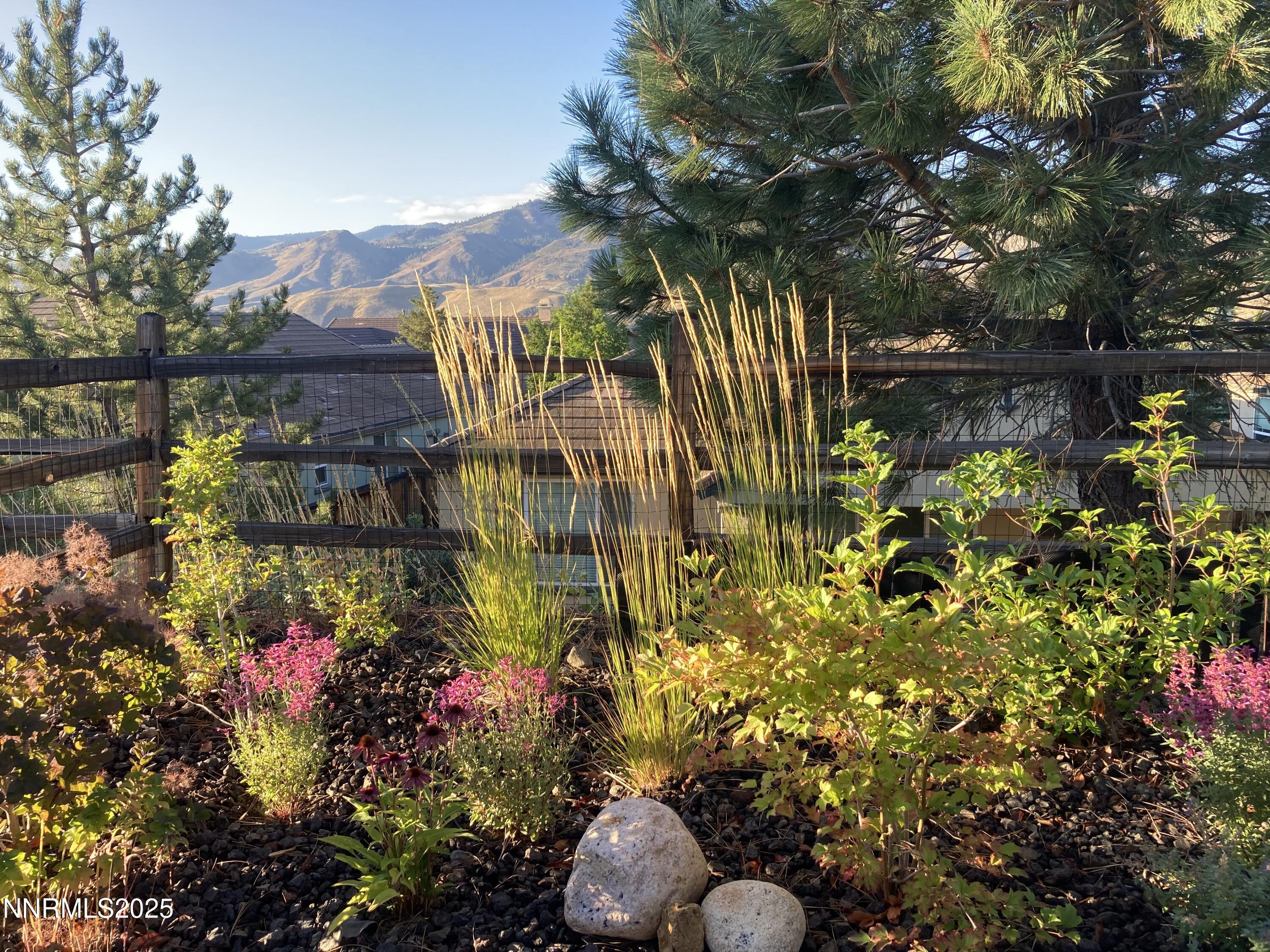 9052 Cabin Creek Trail Reno, NV 89523 - Photo 24 of 34 a view of a bunch of flowers