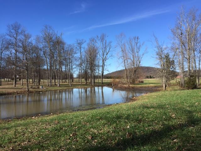 176 Lamb Road Rockvale, TN 37153 - Photo 11 of 19 Pond was stocked with Bass, Catfish