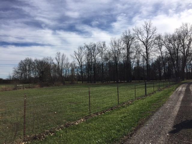 176 Lamb Road Rockvale, TN 37153 - Photo 14 of 19 Fenced Area