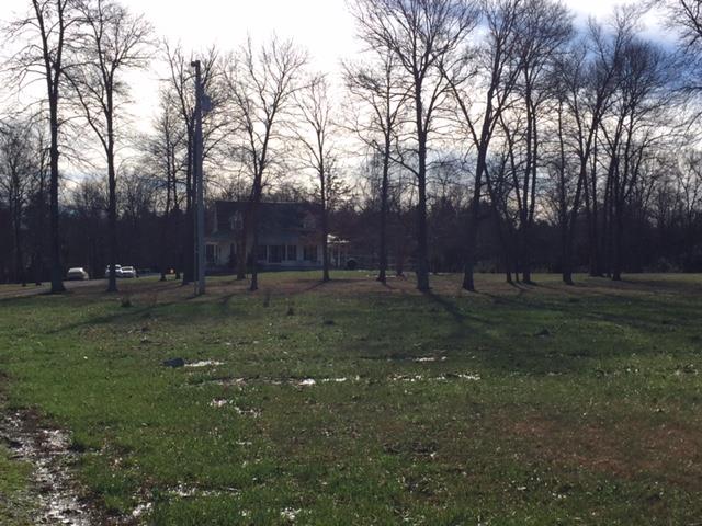 176 Lamb Road Rockvale, TN 37153 - Photo 15 of 19 Blueberry Patch