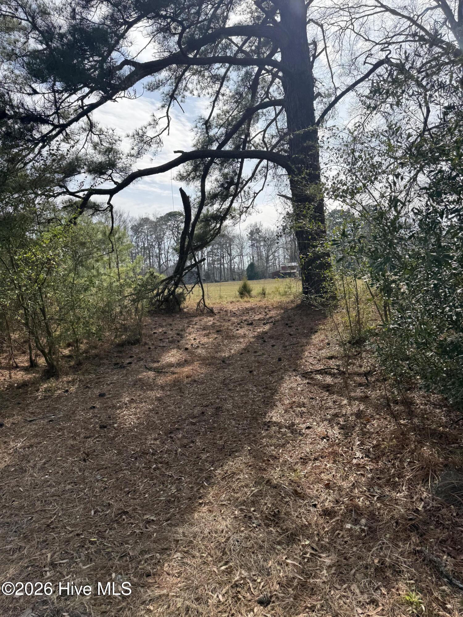 269 Creek Road Bath, NC 27808 - Photo 11 of 22 IMG_2639