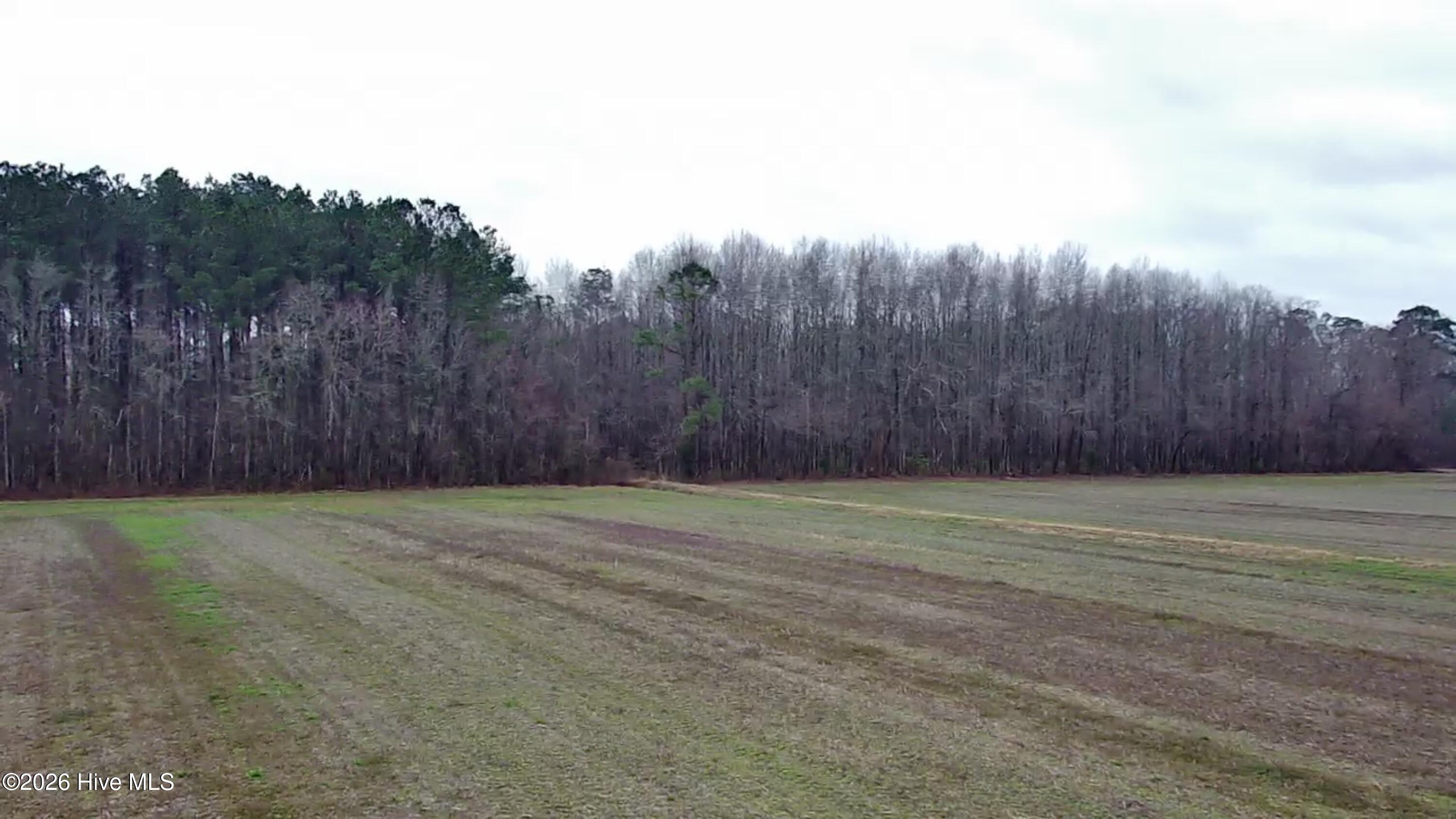 269 Creek Road Bath, NC 27808 - Photo 12 of 22 creek road drone 2