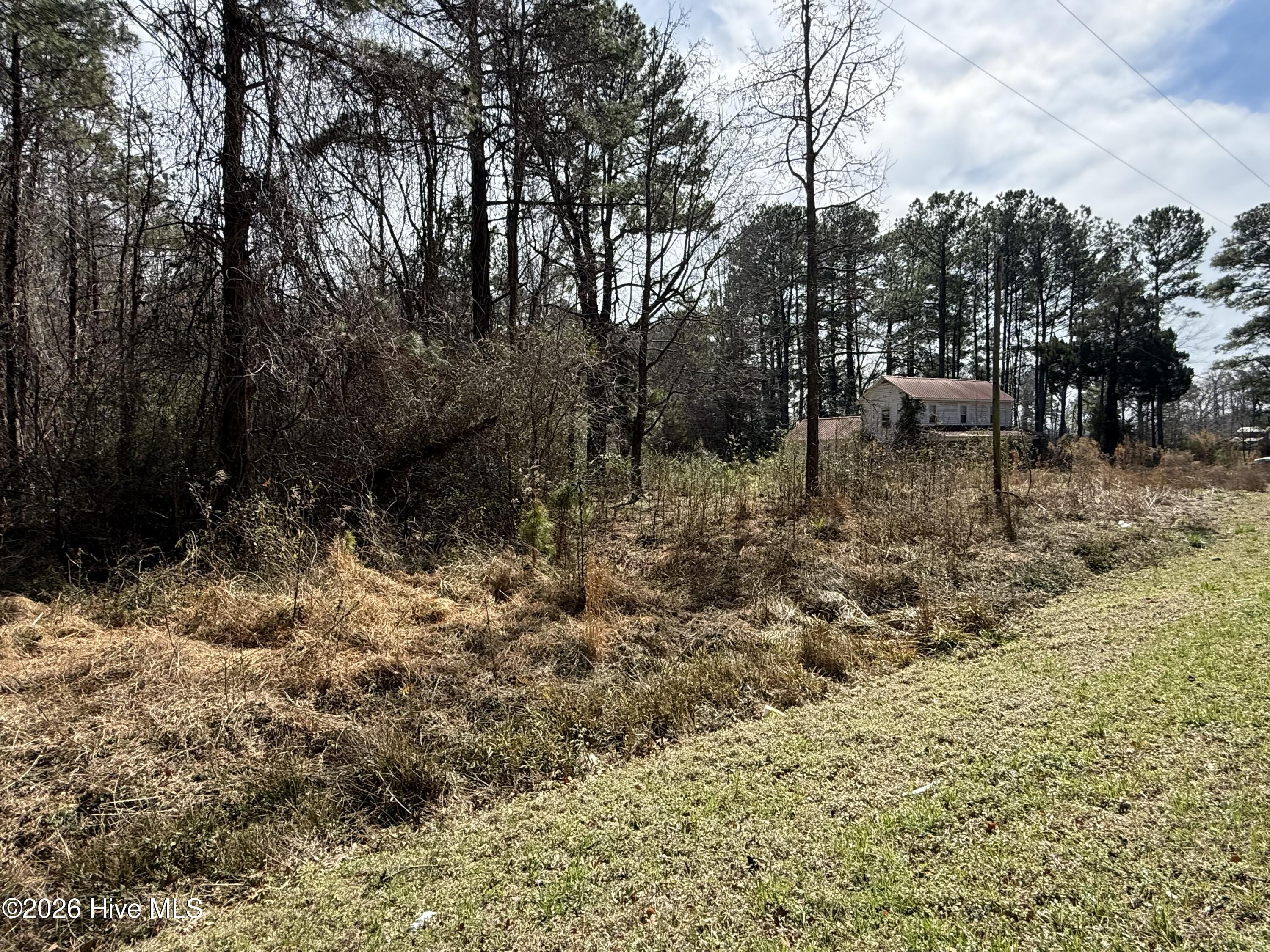 269 Creek Road Bath, NC 27808 - Photo 15 of 22 IMG_2683