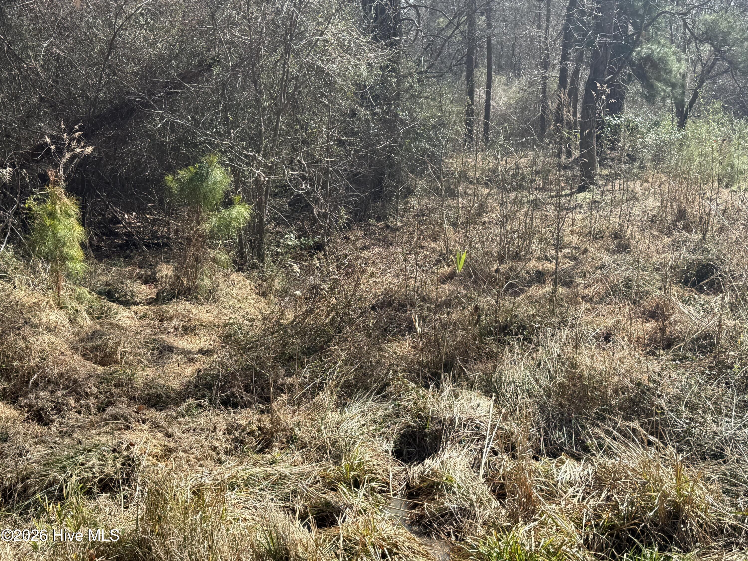 269 Creek Road Bath, NC 27808 - Photo 16 of 22 IMG_2682