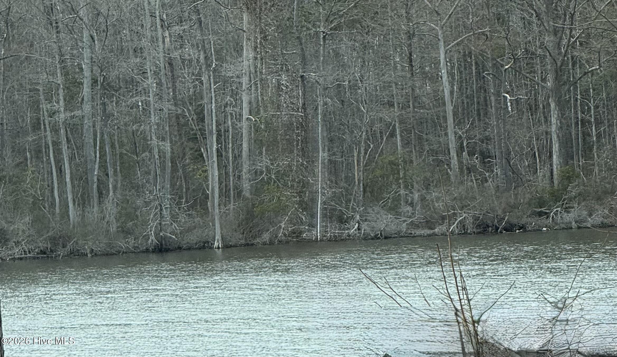 269 Creek Road Bath, NC 27808 - Photo 21 of 22 land 2