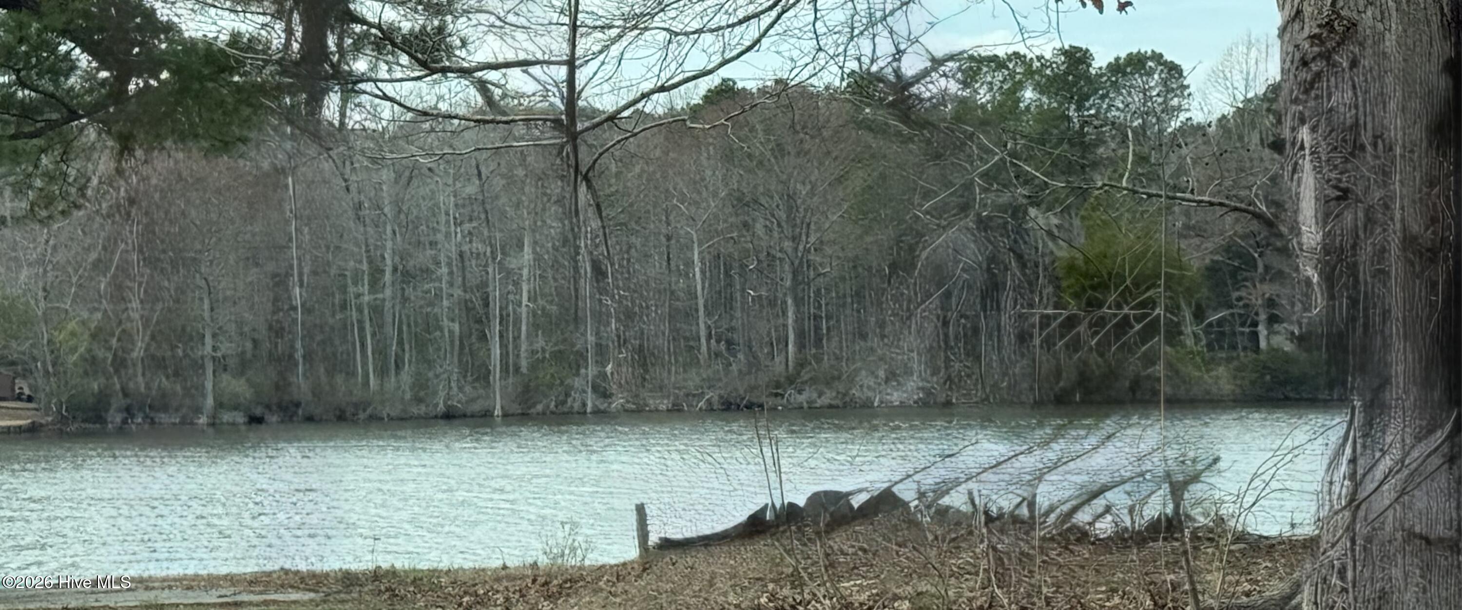 269 Creek Road Bath, NC 27808 - Photo 22 of 22 river