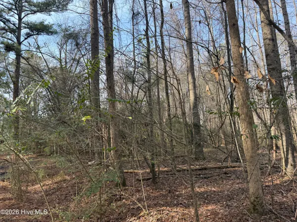 $742,000 | 269 Creek Road, Bath, NC 27808