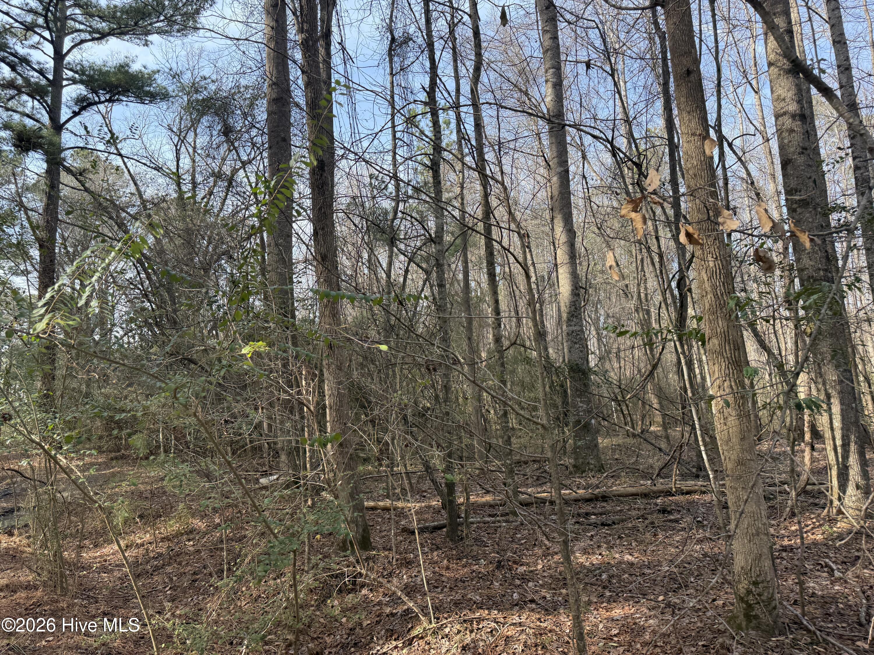 269 Creek Road Bath, NC 27808 - Photo 4 of 22 IMG_2646